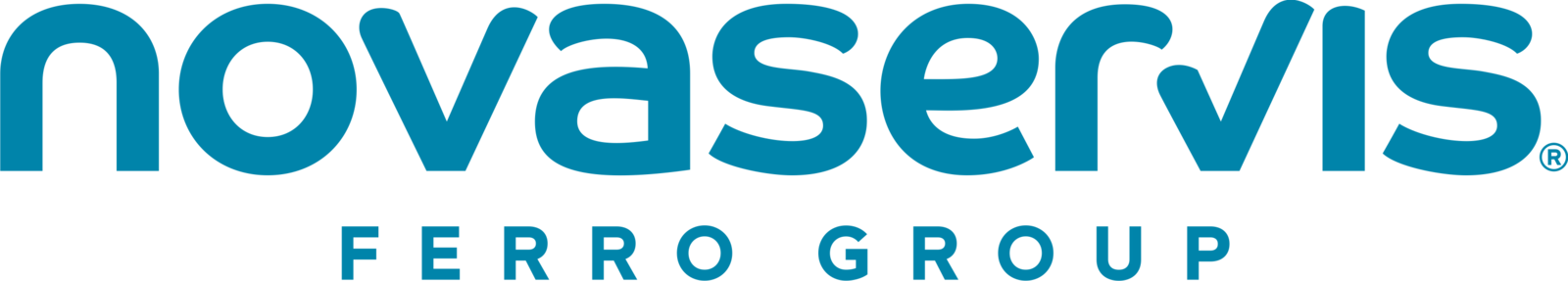Logo Novaservis 2020_FERRO GROUP - tyrkys.png